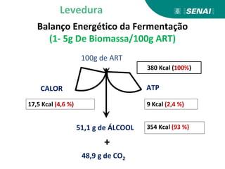 Balanço Energético da Fermentação
(1- 5g De Biomassa/100g ART)
Levedura
ATP
CALOR
51,1 g de ÁLCOOL
48,9 g de CO2
+
9 Kcal (2,4 %)
17,5 Kcal (4,6 %)
354 Kcal (93 %)
100g de ART
380 Kcal (100%)
 