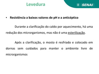▪ Resistência a baixos valores de pH e a anticéptico
Durante a clarificação do caldo por aquecimento, há uma
redução dos microrganismos, mas não é uma esterilização.
Após a clarificação, o mosto é resfriado e colocado em
dornas sem cuidados para manter o ambiente livre de
microrganismos
Levedura
 