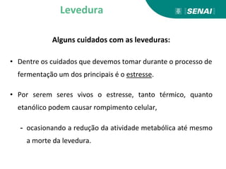 Alguns cuidados com as leveduras:
• Dentre os cuidados que devemos tomar durante o processo de
fermentação um dos principais é o estresse.
• Por serem seres vivos o estresse, tanto térmico, quanto
etanólico podem causar rompimento celular,
- ocasionando a redução da atividade metabólica até mesmo
a morte da levedura.
Levedura
 