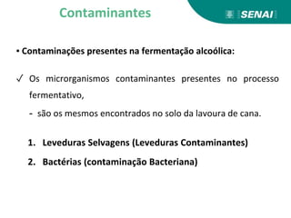 ▪ Contaminações presentes na fermentação alcoólica:
✓ Os microrganismos contaminantes presentes no processo
fermentativo,
- são os mesmos encontrados no solo da lavoura de cana.
1. Leveduras Selvagens (Leveduras Contaminantes)
2. Bactérias (contaminação Bacteriana)
Contaminantes
 
