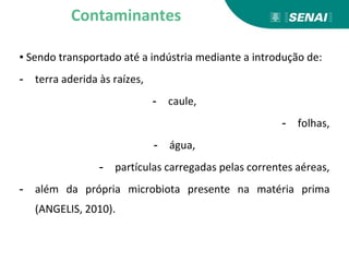 ▪ Sendo transportado até a indústria mediante a introdução de:
- terra aderida às raízes,
- caule,
- folhas,
- água,
- partículas carregadas pelas correntes aéreas,
- além da própria microbiota presente na matéria prima
(ANGELIS, 2010).
Contaminantes
 