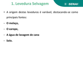 ▪ A origem destas leveduras é variável, destacando-se como
principais fontes:
- O melaço,
- O xarope,
- A água de lavagem de cana
- Solo.
1. Levedura Selvagem
 