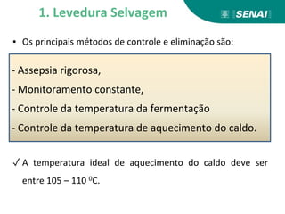 ▪ Os principais métodos de controle e eliminação são:
✓ A temperatura ideal de aquecimento do caldo deve ser
entre 105 – 110 0C.
- Assepsia rigorosa,
- Monitoramento constante,
- Controle da temperatura da fermentação
- Controle da temperatura de aquecimento do caldo.
1. Levedura Selvagem
 