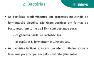 ▪ As bactérias predominantes em processos industriais de
fermentação alcoólica são Gram-positivas em formas de
bastonetes (em torno de 85%), com destaque para:
- os gêneros Bacillus e Lactobacillus
- as espécies L. fermentum e L. helveticus.
▪ As bactérias lácticas exercem um efeito inibidor sobre a
levedura, pois competem pelo substrato (alimento).
2. Bactérias
 