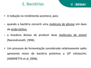 ▪ A redução no rendimento acontece, pois:
- quando a bactéria converti uma molécula de glicose em duas
de acido láctico,
- a levedura deixou de produzir duas moléculas de etanol
(Narendranath, 1994).
▪ Um processo de fermentação considerado relativamente sadio
apresenta níveis de bactéria próximos a 105 células/mL
(ANDRIETTA et al, 2006).
2. Bactérias
 