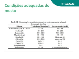Condições adequadas do
mosto
 