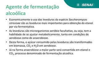 Agente de fermentação
alcoólica
• Economicamente o uso das leveduras da espécie Saccharomyces
cerevisae são as leveduras mais importantes para obtenção do etanol
por via fermentativa.
• As leveduras são microrganismos aeróbio facultativo, ou seja, tem a
habilidade de se ajustar metabolicamente, tanto em condições de
aerobiose como de anaerobiose.
• Desta forma, o açúcar consumido pelas leveduras são transformados
em biomassa, CO2 e H2O em aerobiose.
• Já na forma anaerobiose a maior parte será convertida em etanol e
CO2, processo denominado de fermentação alcoólica.
 