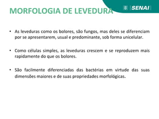 MORFOLOGIA DE LEVEDURA
• As leveduras como os bolores, são fungos, mas deles se diferenciam
por se apresentarem, usual e predominante, sob forma unicelular.
• Como células simples, as leveduras crescem e se reproduzem mais
rapidamente do que os bolores.
• São facilmente diferenciadas das bactérias em virtude das suas
dimensões maiores e de suas propriedades morfológicas.
 