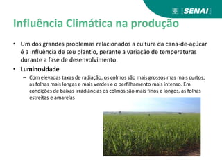 Influência Climática na produção
• Um dos grandes problemas relacionados a cultura da cana-de-açúcar
é a influência de seu plantio, perante a variação de temperaturas
durante a fase de desenvolvimento.
• Luminosidade
– Com elevadas taxas de radiação, os colmos são mais grossos mas mais curtos;
as folhas mais longas e mais verdes e o perfilhamento mais intenso. Em
condições de baixas irradiâncias os colmos são mais finos e longos, as folhas
estreitas e amarelas
 