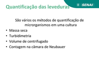 Quantificação das leveduras
São vários os métodos de quantificação de
microrganismos em uma cultura
• Massa seca
• Turbidimetria
• Volume de centrifugado
• Contagem na câmara de Neubauer
 
