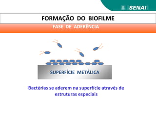 SUPERFÍCIE METÁLICA
FORMAÇÃO DO BIOFILME
FASE DE ADERÊNCIA
Bactérias se aderem na superfície através de
estruturas especiais
 