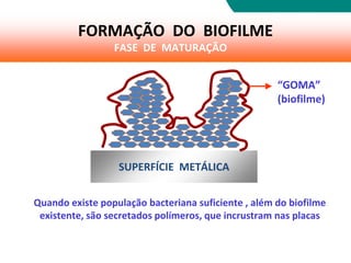 SUPERFÍCIE METÁLICA
“GOMA”
(biofilme)
Quando existe população bacteriana suficiente , além do biofilme
existente, são secretados polímeros, que incrustram nas placas
FORMAÇÃO DO BIOFILME
FASE DE MATURAÇÃO
 