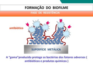 SUPERFÍCIE METÁLICA
antibiótico
A “goma”produzida protege as bactérias dos fatores adversos (
antibióticos e produtos químicos )
FORMAÇÃO DO BIOFILME
FASE DE RESISTÊNCIA
 