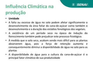 Influência Climática na
produção
• Umidade
• A falta ou excesso de água no solo podem afetar significamente o
desenvolvimento da área foliar da cana-de-açúcar como também o
desenvolvimento e a duração dos estádios fenológicos dos vegetais.
• A existência de um período seco na época de indução do
florescimento também pode prejudicar este processo fisiológico.
• À medida que o solo seca, acabam sendo mais difícil para as plantas
absorverem água, pois a força de retenção aumenta e
consequentemente diminui a disponibilidade de água no solo para as
plantas
• A disponibilidade de água para a cultura da cana-de-açúcar é o
principal fator climático de sua produtividade
 