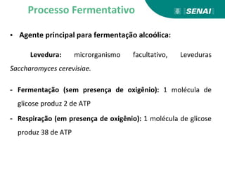 ▪ Agente principal para fermentação alcoólica:
Levedura: microrganismo facultativo, Leveduras
Saccharomyces cerevisiae.
- Fermentação (sem presença de oxigênio): 1 molécula de
glicose produz 2 de ATP
- Respiração (em presença de oxigênio): 1 molécula de glicose
produz 38 de ATP
Processo Fermentativo
 