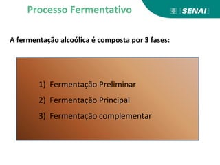 A fermentação alcoólica é composta por 3 fases:
1) Fermentação Preliminar
2) Fermentação Principal
3) Fermentação complementar
Processo Fermentativo
 