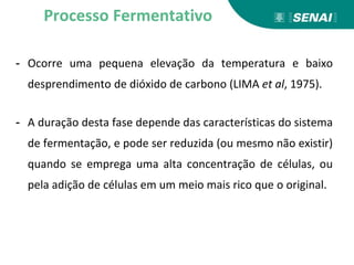 - Ocorre uma pequena elevação da temperatura e baixo
desprendimento de dióxido de carbono (LIMA et al, 1975).
- A duração desta fase depende das características do sistema
de fermentação, e pode ser reduzida (ou mesmo não existir)
quando se emprega uma alta concentração de células, ou
pela adição de células em um meio mais rico que o original.
Processo Fermentativo
 