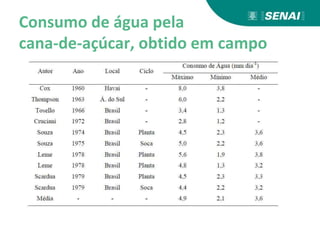 Consumo de água pela
cana-de-açúcar, obtido em campo
 