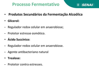 ▪ Produtos Secundários da Fermentação Alcoólica
• Glicerol:
- Regulador redox celular em anaerobiose;
- Protetor estresse osmótico.
• Ácido Succínico:
- Regulador redox celular em anaerobiose.
- Agente antibacteriano natural
• Trealose:
- Protetor contra estresses.
Processo Fermentativo
 