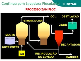 PROCESSO ZANIFLOC
Continua com Levedura Floculante
 
