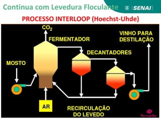 PROCESSO INTERLOOP (Hoechst-Uhde)
Continua com Levedura Floculante
 