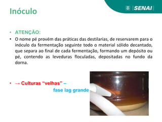 Inóculo
• ATENÇÃO:
• O nome pé provém das práticas das destilarias, de reservarem para o
inóculo da fermentação seguinte todo o material sólido decantado,
que separa ao final de cada fermentação, formando um depósito ou
pé, contendo as leveduras floculadas, depositadas no fundo da
dorna.
• → Culturas “velhas” –
fase lag grande
 