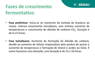Fases de crescimento
fermentativo
• Fase preliminar: Inicia-se no momento do contato da levedura ao
mosto. Intenso crescimento microbiano, com mínimo aumento de
temperaturas e crescimento de dióxido de carbono CO2. Duração é
de 4 a 6 horas.
• Fase tumultuosa: Aumento da formação de dióxido de carbono,
devido ao aumento de células responsáveis pela quebra do açúcar e
aumento da temperatura e formação de etanol e acidez ao meio. É
como houvesse uma ebulição, com duração é de 12 a 16 horas.
 