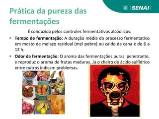 Prática da pureza das
fermentações
É conduzida pelos controles fermentativos alcóolicos:
• Tempo de fermentação: A duração média do processo fermentativo
em mosto de melaço residual (mel pobre) ou caldo de cana é de 6 a
12 h.
• Odor da fermentação: O aroma das fermentações puras penetrante,
e reproduz o aroma de frutas maduras. Já o cheiro de ácido sulfídrico
entre outros indicam problemas.
 