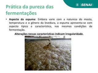 Prática da pureza das
fermentações
• Aspecto da espuma: Embora varie com a natureza do mosto,
temperatura e o gênero da levedura, a espuma apresenta-se com
aspecto típico e característico, nas mesmas condições de
fermentação.
Alterações nessas características indicam irregularidade.
 