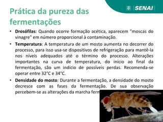 Prática da pureza das
fermentações
• Drosófilas: Quando ocorre formação acética, aparecem "moscas do
vinagre" em número proporcional à contaminação.
• Temperatura: A temperatura de um mosto aumenta no decorrer do
processo, para isso usa-se dispositivos de refrigeração para mantê-la
nos níveis adequados até o término do processo. Alterações
importantes na curva de temperatura, do início ao final da
fermentação, são um indício de possíveis perdas. Recomenda-se
operar entre 32°C e 34°C.
• Densidade do mosto: Durante a fermentação, a densidade do mosto
decresce com as fases da fermentação. De sua observação
percebem-se as alterações da marcha fermentativa.
 
