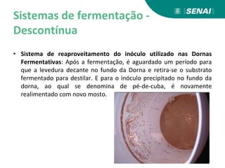 Sistemas de fermentação -
Descontínua
• Sistema de reaproveitamento do inóculo utilizado nas Dornas
Fermentativas: Após a fermentação, é aguardado um período para
que a levedura decante no fundo da Dorna e retira-se o substrato
fermentado para destilar. E para o inóculo precipitado no fundo da
dorna, ao qual se denomina de pé-de-cuba, é novamente
realimentado com novo mosto.
 