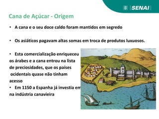 Cana de Açúcar - Origem
• A cana e o seu doce caldo foram mantidos em segredo
• Os asiáticos pagavam altas somas em troca de produtos luxuosos.
• Esta comercialização enriqueceu
os árabes e a cana entrou na lista
de preciosidades, que os países
ocidentais quase não tinham
acesso
• Em 1150 a Espanha já investia em
na indústria canavieira
 