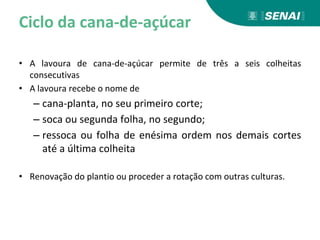 Ciclo da cana-de-açúcar
• A lavoura de cana-de-açúcar permite de três a seis colheitas
consecutivas
• A lavoura recebe o nome de
– cana-planta, no seu primeiro corte;
– soca ou segunda folha, no segundo;
– ressoca ou folha de enésima ordem nos demais cortes
até a última colheita
• Renovação do plantio ou proceder a rotação com outras culturas.
 