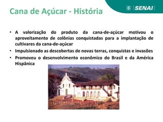 Cana de Açúcar - História
• A valorização do produto da cana-de-açúcar motivou o
aproveitamento de colônias conquistadas para a implantação de
cultivares da cana-de-açúcar
• Impulsionado as descobertas de novas terras, conquistas e invasões
• Promoveu o desenvolvimento econômico do Brasil e da América
Hispânica
 