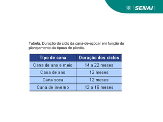 Tabela. Duração do ciclo da cana-de-açúcar em função do
planejamento da época de plantio.
 