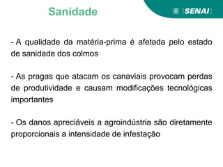 - A qualidade da matéria-prima é afetada pelo estado
de sanidade dos colmos
- As pragas que atacam os canaviais provocam perdas
de produtividade e causam modificações tecnológicas
importantes
- Os danos apreciáveis a agroindústria são diretamente
proporcionais a intensidade de infestação
Sanidade
 