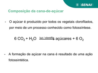 Composição da cana-de-açúcar
- O açúcar é produzido por todos os vegetais clorofilados,
por meio de um processo conhecido como fotossíntese.
6 CO2 + H2O luz / clorofila açúcares + 6 O2
- A formação de açúcar na cana é resultado de uma ação
fotossintética.
 