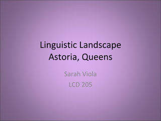 Linguistic Landscape Astoria, Queens Sarah Viola LCD 205 