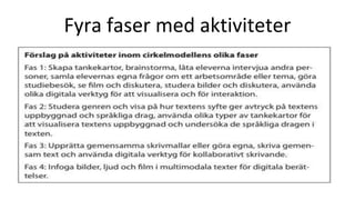 Fyra faser med aktiviteter
 