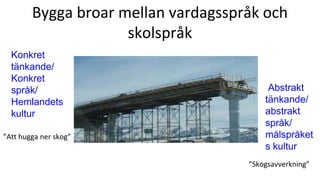 Bygga broar mellan vardagsspråk och
skolspråk
Konkret
tänkande/
Konkret
språk/
Hemlandets
kultur
Abstrakt
tänkande/
abstrakt
språk/
målspråket
s kultur
”Att hugga ner skog”
”Skogsavverkning”
 