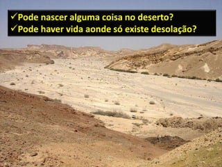 Pode nascer alguma coisa no deserto?
Pode haver vida aonde só existe desolação?
 