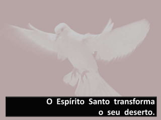 O Espírito Santo transforma
o seu deserto.
 