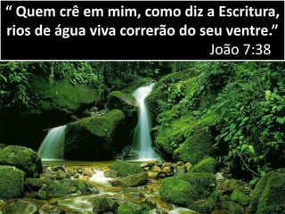 “ Quem crê em mim, como diz a Escritura,
rios de água viva correrão do seu ventre.”
João 7:38
 