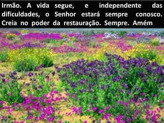 Irmão. A vida segue, e independente das
dificuldades, o Senhor estará sempre conosco.
Creia no poder da restauração. Sempre. Amém
 