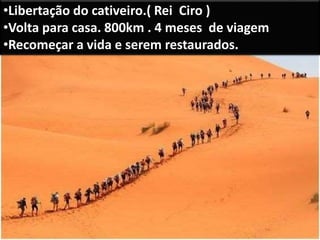 •Libertação do cativeiro.( Rei Ciro )
•Volta para casa. 800km . 4 meses de viagem
•Recomeçar a vida e serem restaurados.
 
