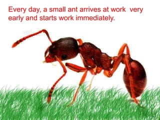 Every day, a small ant arrives at work very
early and starts work immediately.
 