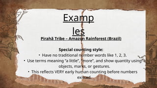 Piraha Math Words a story of numbers223.pptx 83jvheu3ieeeff | PPTX