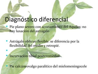 Diagnóstico diferencial Pie plano severo con acortamiento del Aquiles: no hay luxación del astrágalo  Astrágalo oblicuo flexible: se diferencia por la flexibilidad del medio y retropié.  Incurvación tibial posteromedial  Pie calcáneovalgo paralítico del mielomeningocele  