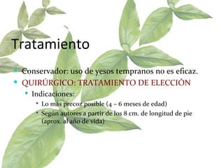Tratamiento Conservador: uso de yesos tempranos no es eficaz.  QUIRÚRGICO: TRATAMIENTO DE ELECCIÓN   Indicaciones:  Lo más precoz posible (4 – 6 meses de edad)  Según autores a partir de los 8 cm. de longitud de pie (aprox. al año de vida) 