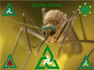 GRUPO ASTRAL
 